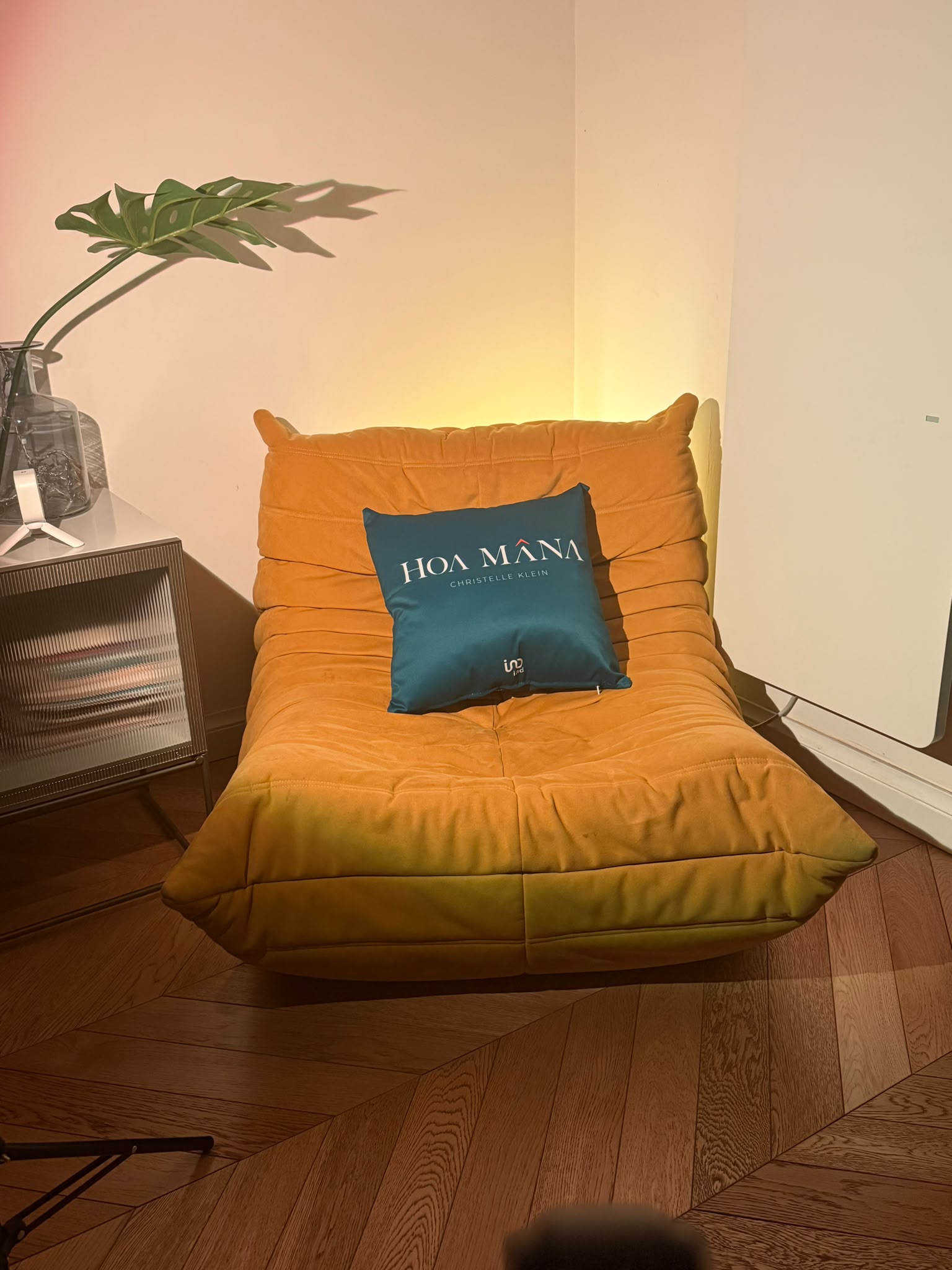Tournage vidéo immobilier Hoa Mâna à Lyon par Puls — direction artistique et branding pour l'équipe IAD de Christelle Klein